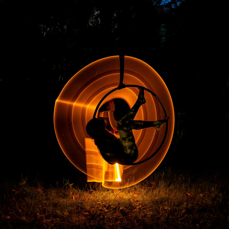 Burtch Trees Photography