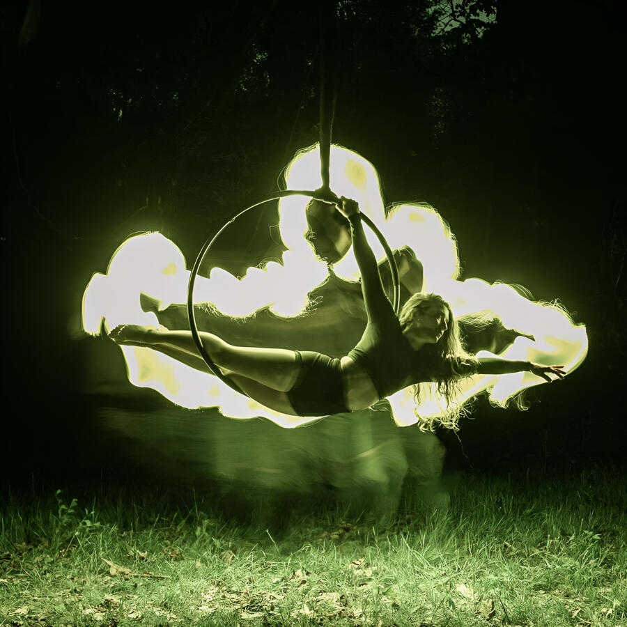 Burtch Trees Photography